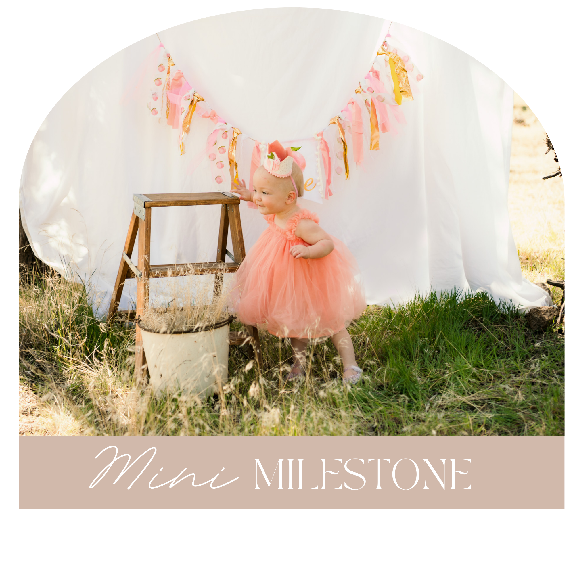 child birthday photo shoot child photographer milestone photographer