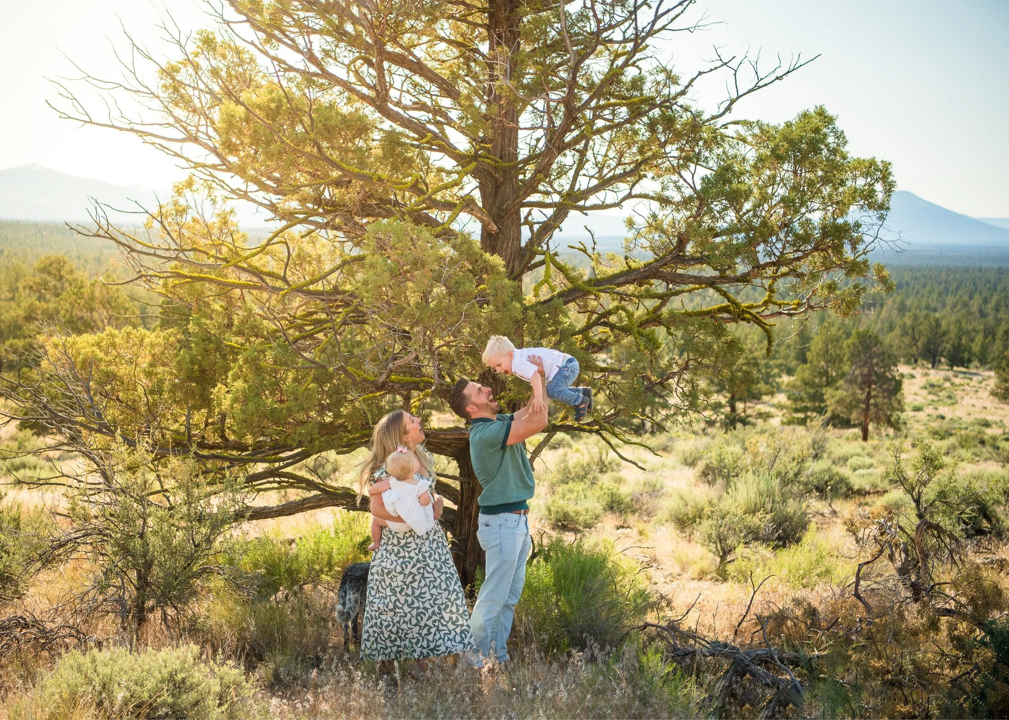 A family of four outdoors in a desert landscape with a large tree, mountains, and sparse vegetation in the background. The father is lifting a young boy in the air, while the mother and a baby look on, all sharing a joyful moment.