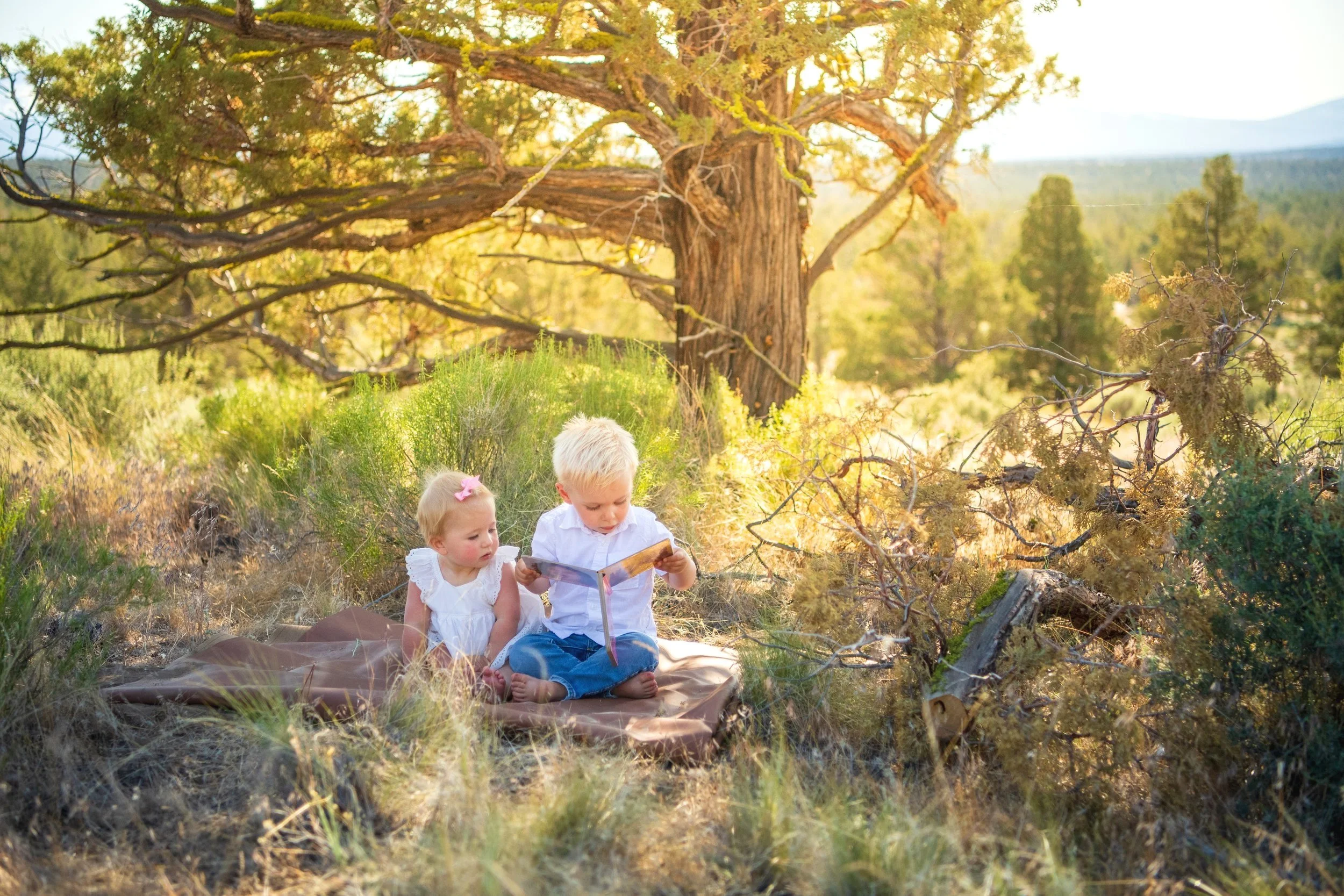 Two young children, a boy and a girl, sitting on a blanket in a natural outdoor setting, with trees and greenery in the background. The boy is reading a book while the girl watches.