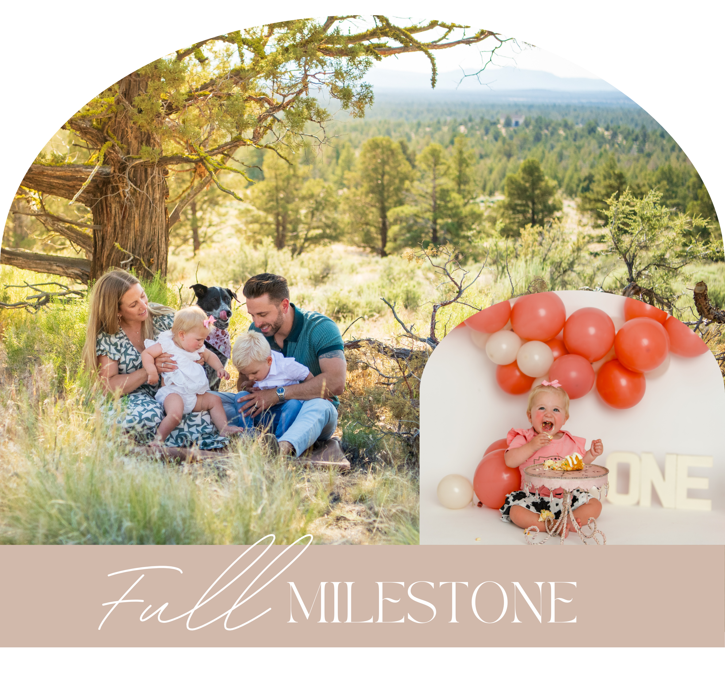 family photo session child birthday photo session