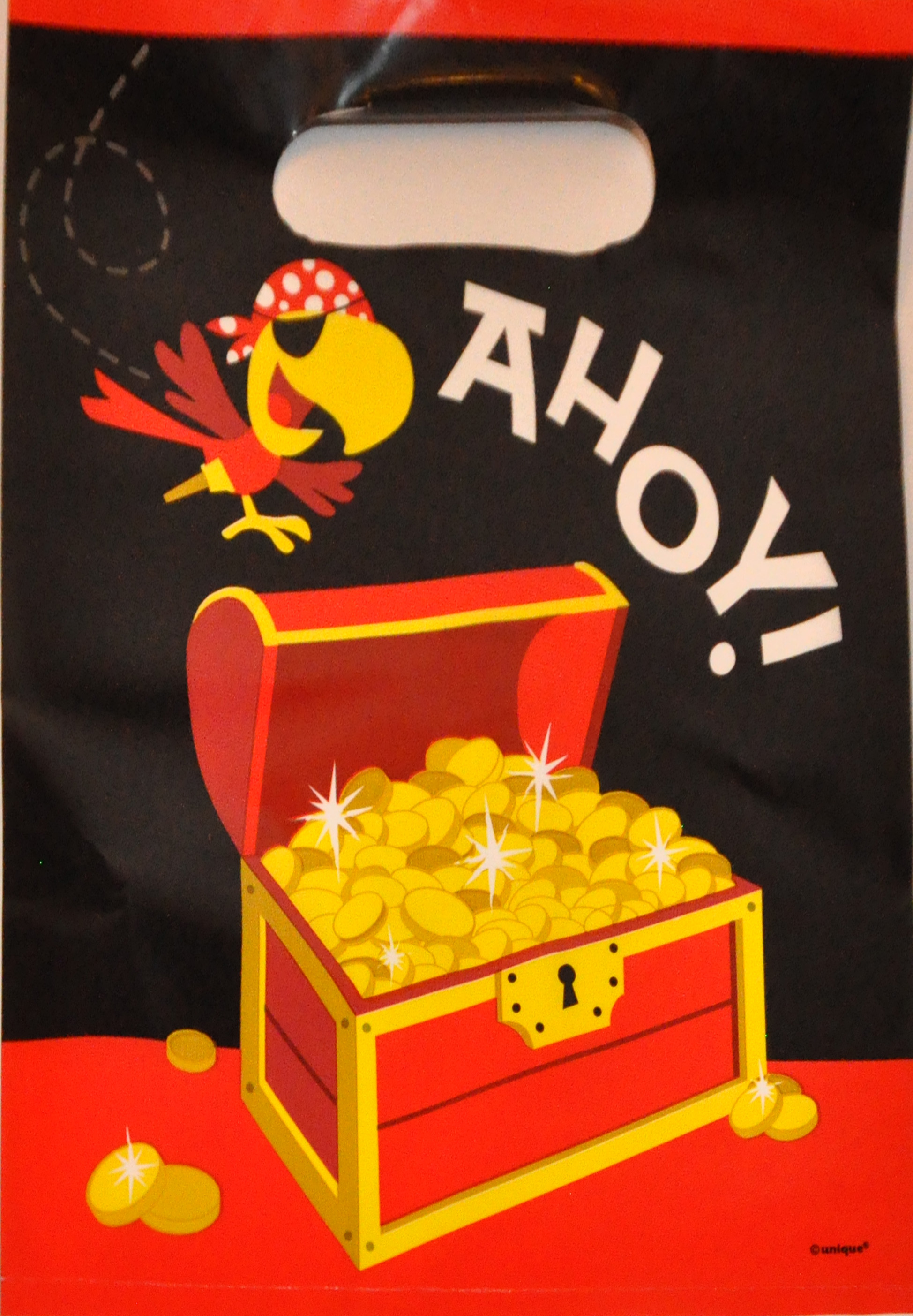 Pirate Party Bag