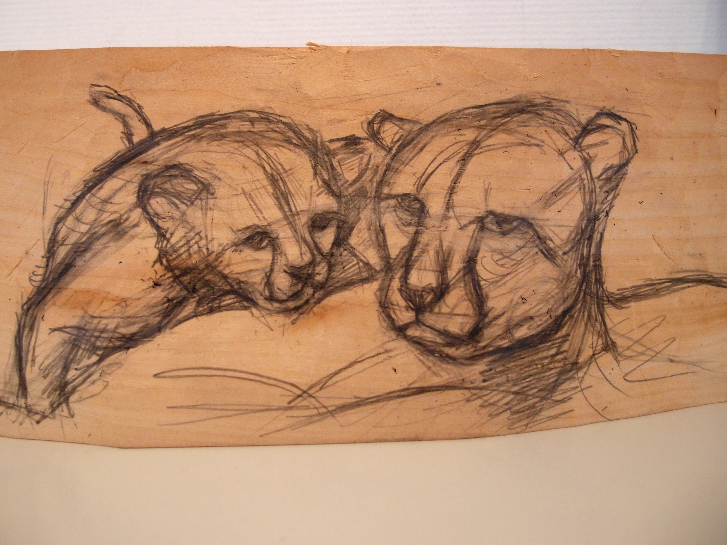 photos depuis avril 2014 a aout 2014 4372.JPG