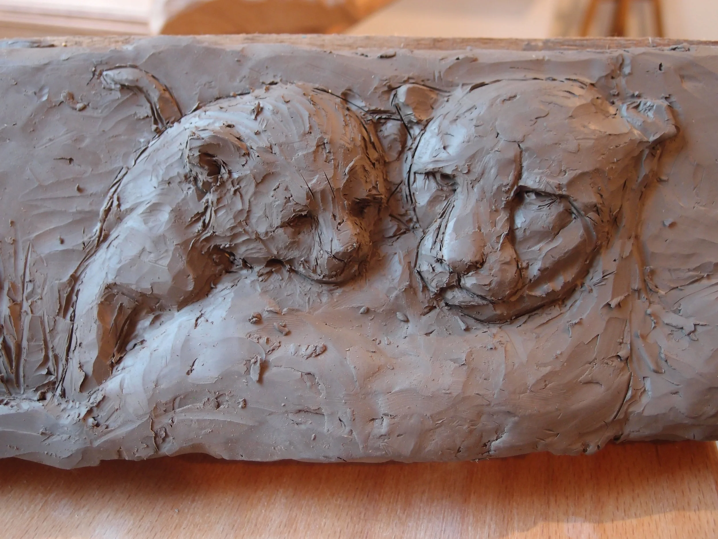 photos depuis avril 2014 a aout 2014 4375.JPG