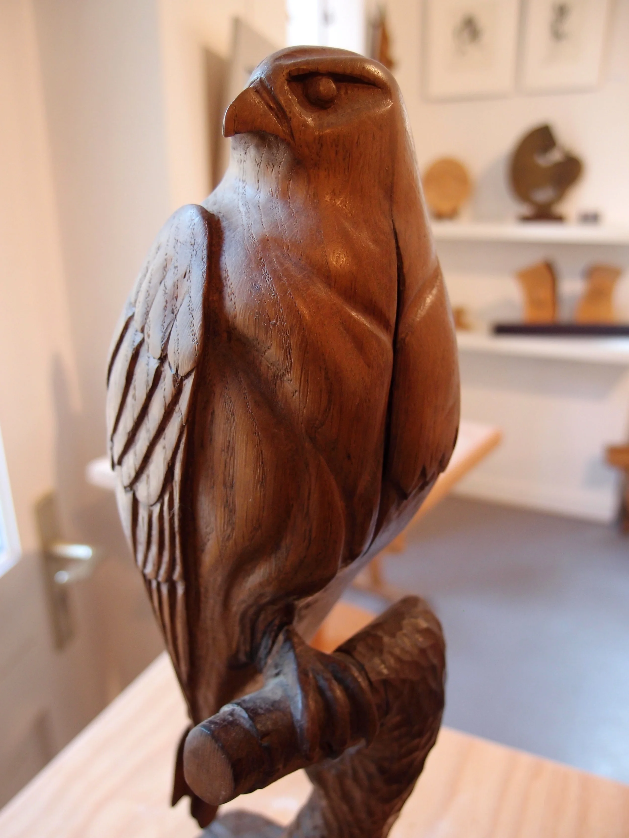 photos depuis avril 2014 a aout 2014 4380.JPG