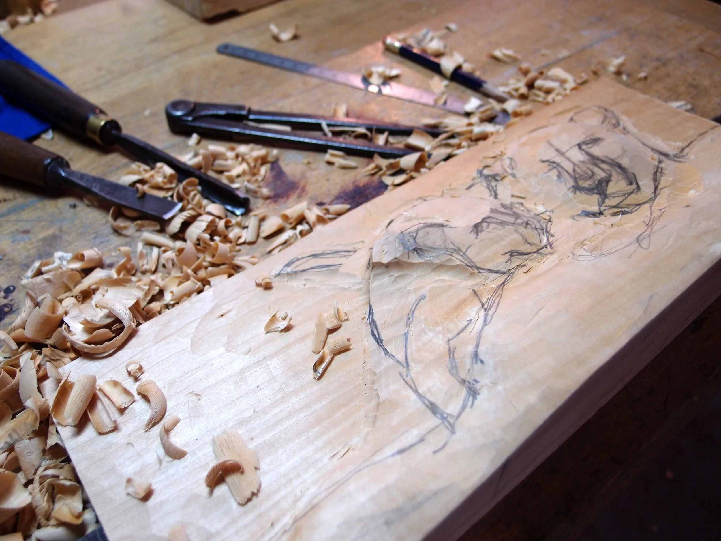 photos depuis avril 2014 a aout 2014 4389.JPG