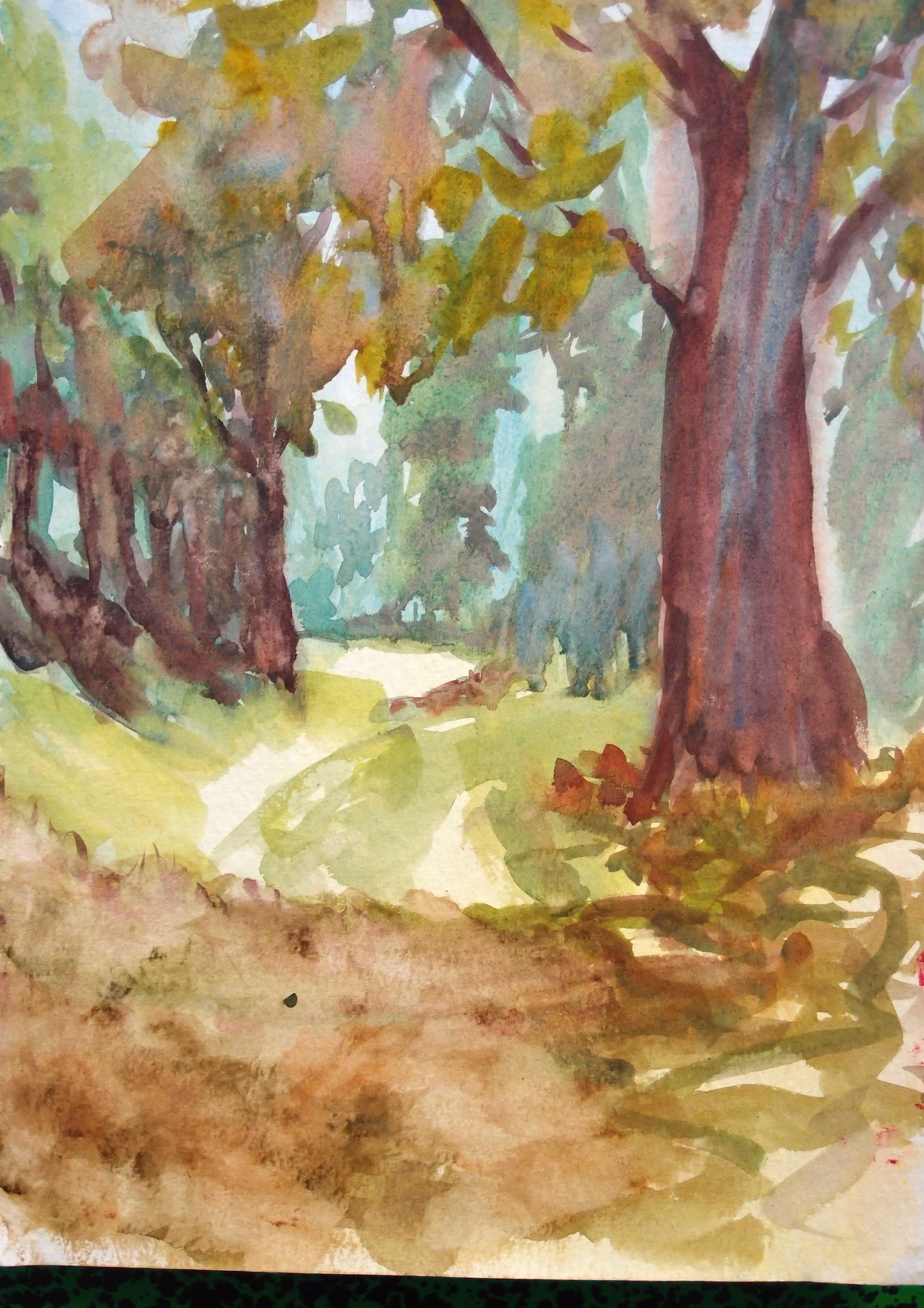 photos site web 2017 007.JPG