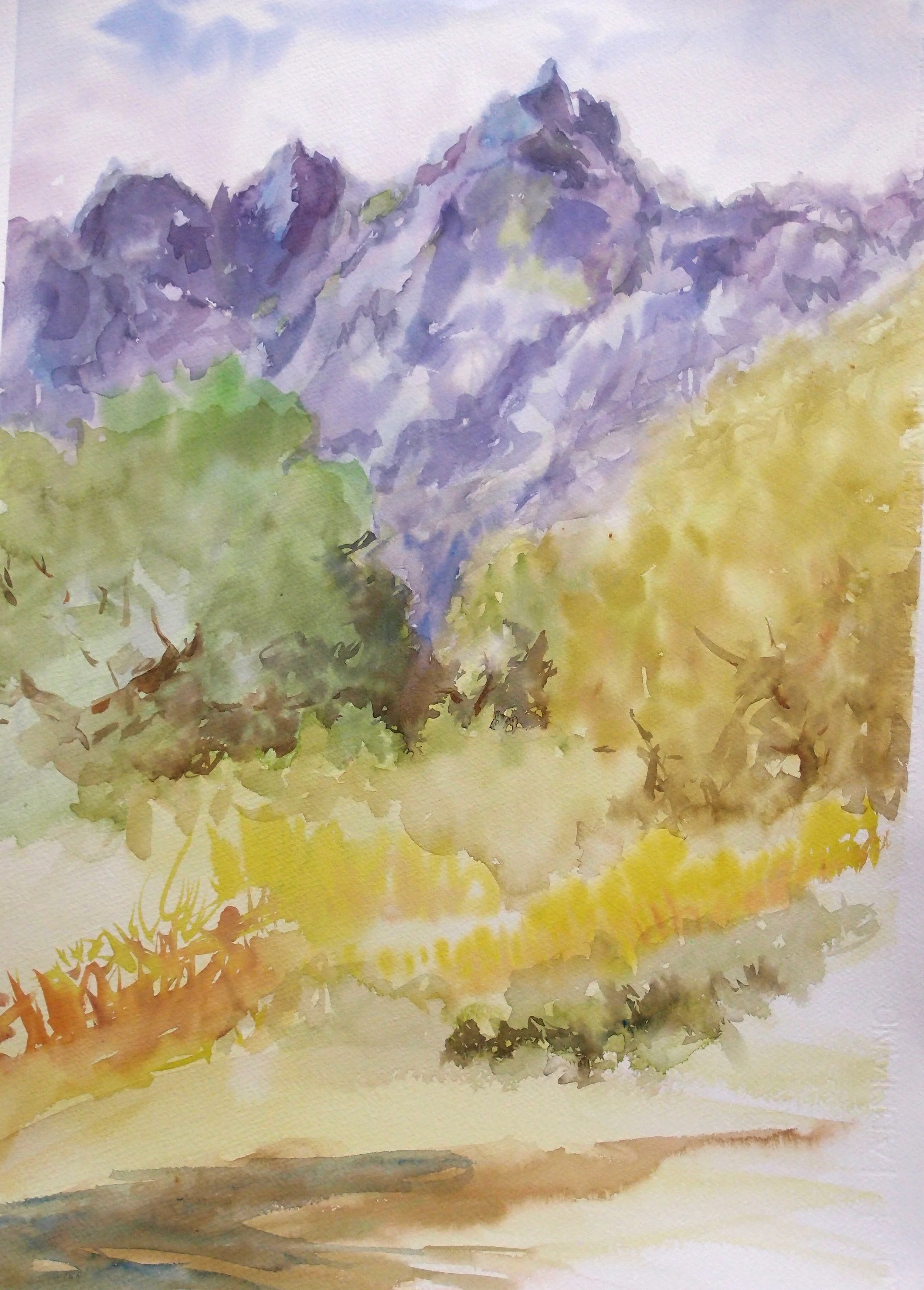 photos site web 2017 011.JPG