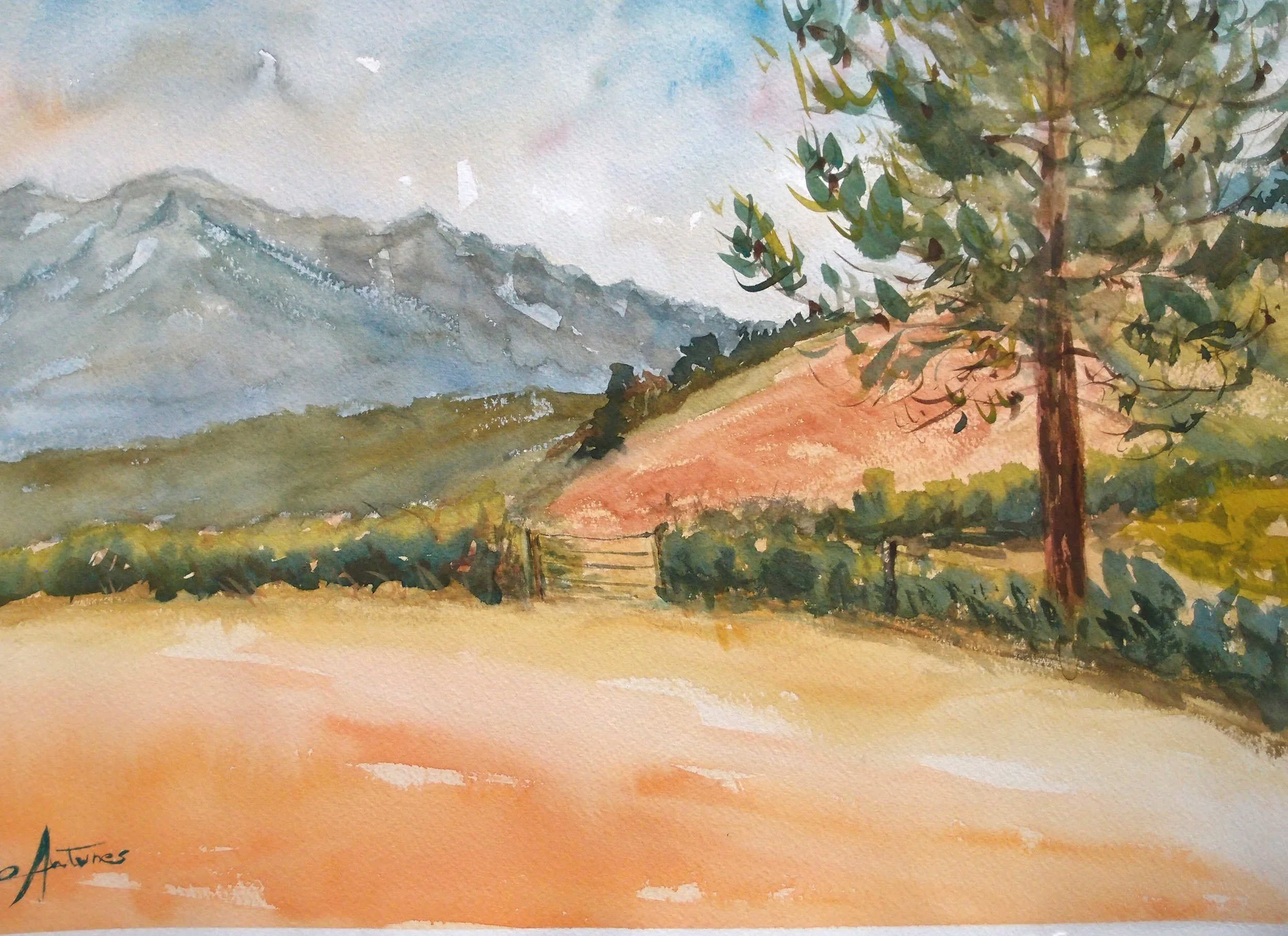 photos site web 2017 015.JPG