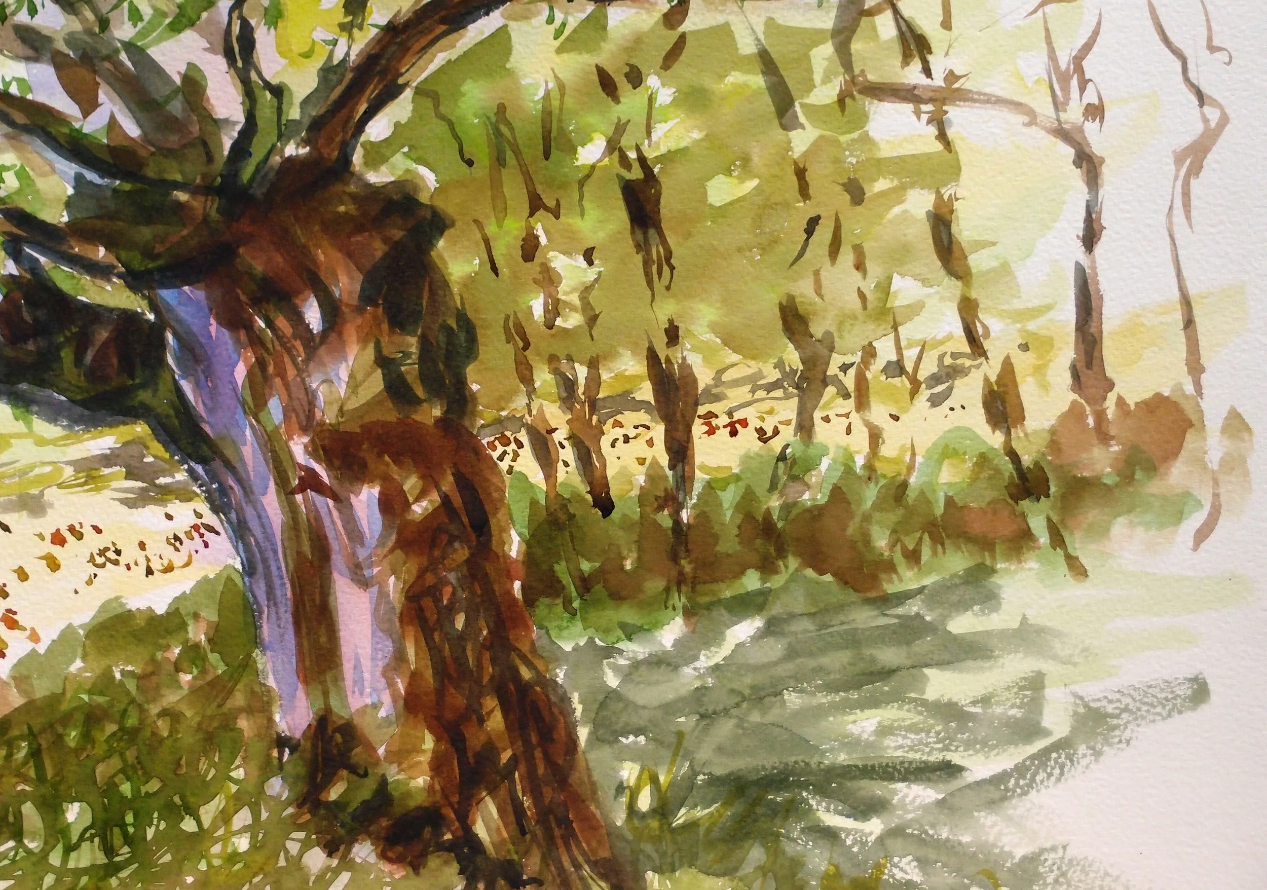 photos site web 2017 028.JPG