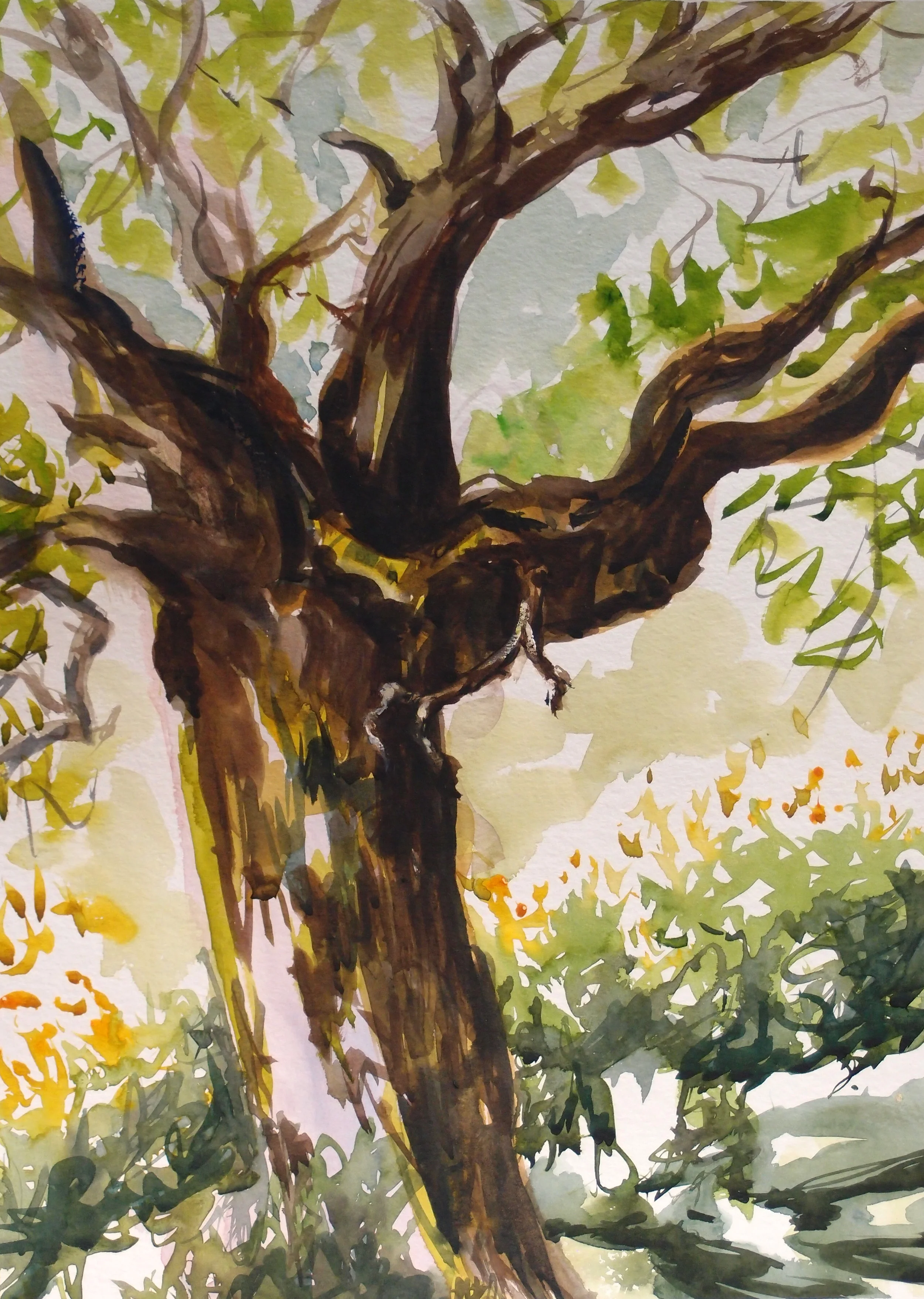 photos site web 2017 035.JPG