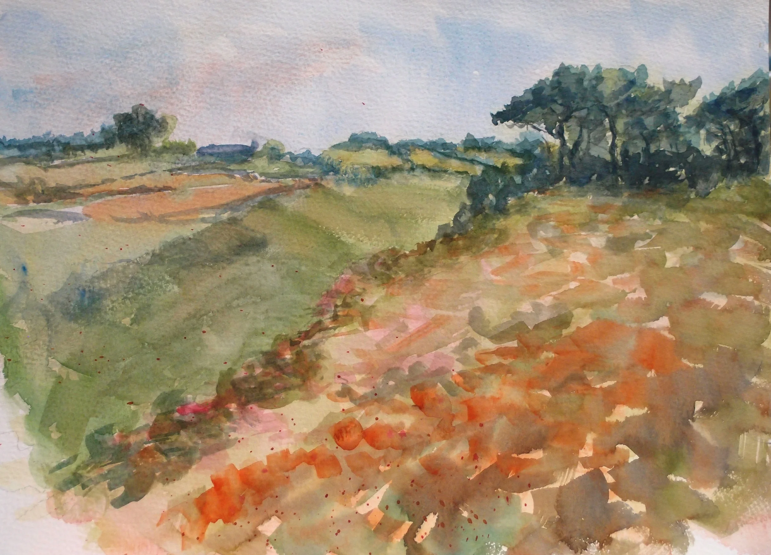 photos site web 2017 036.JPG