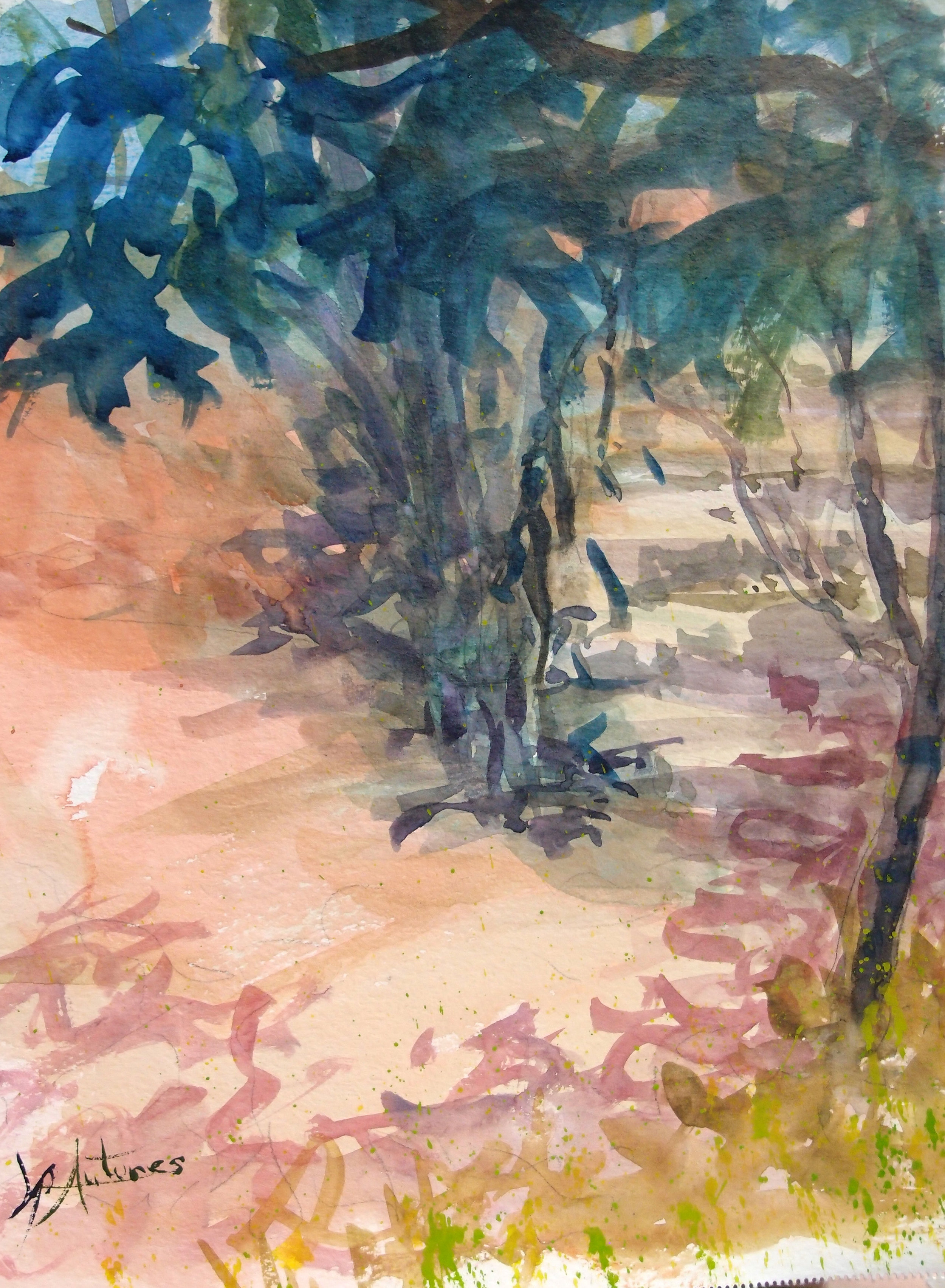 photos site web 2017 038.JPG