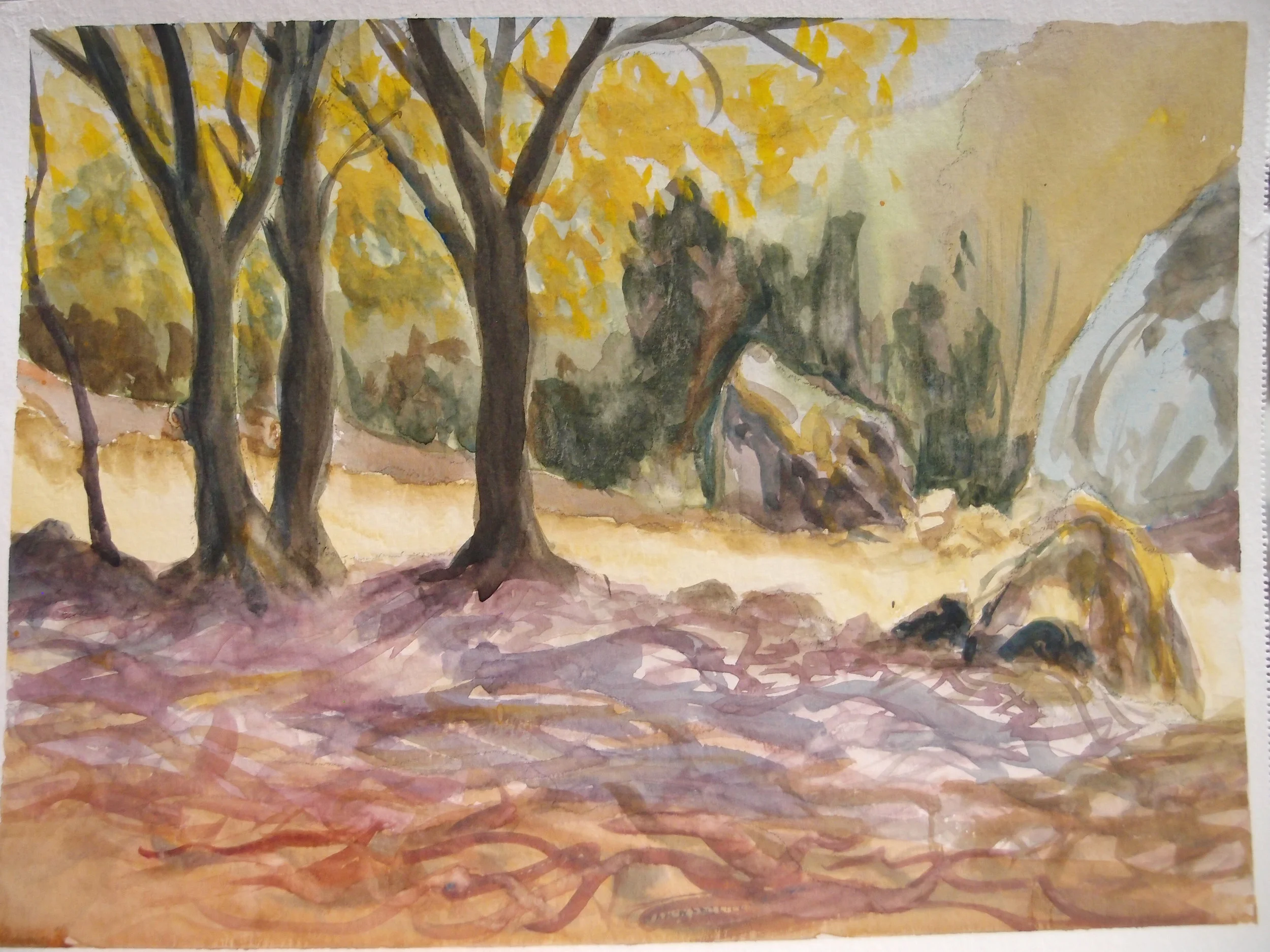 photos site web 2017 040.JPG