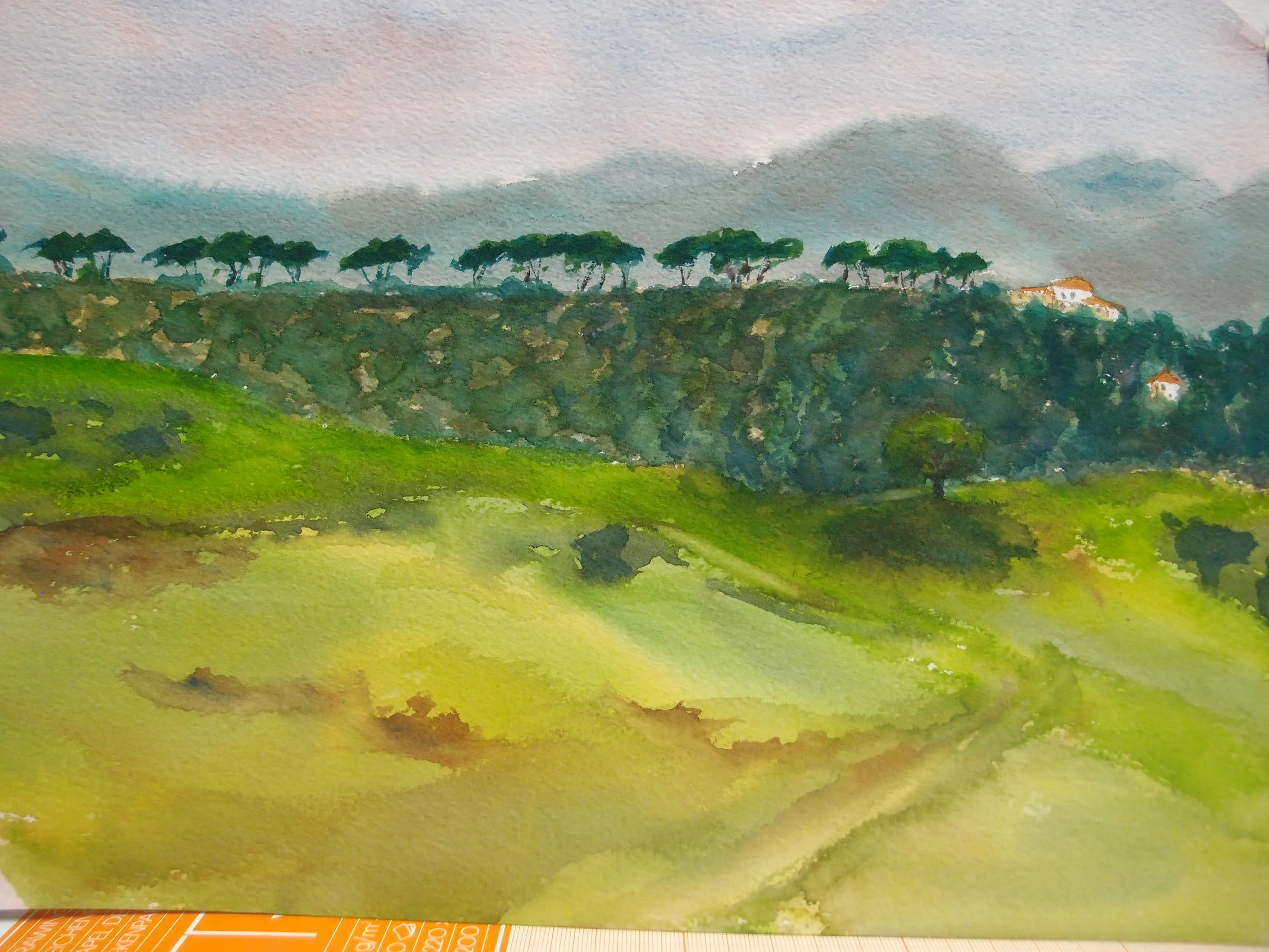 photos site web 2017 042.JPG