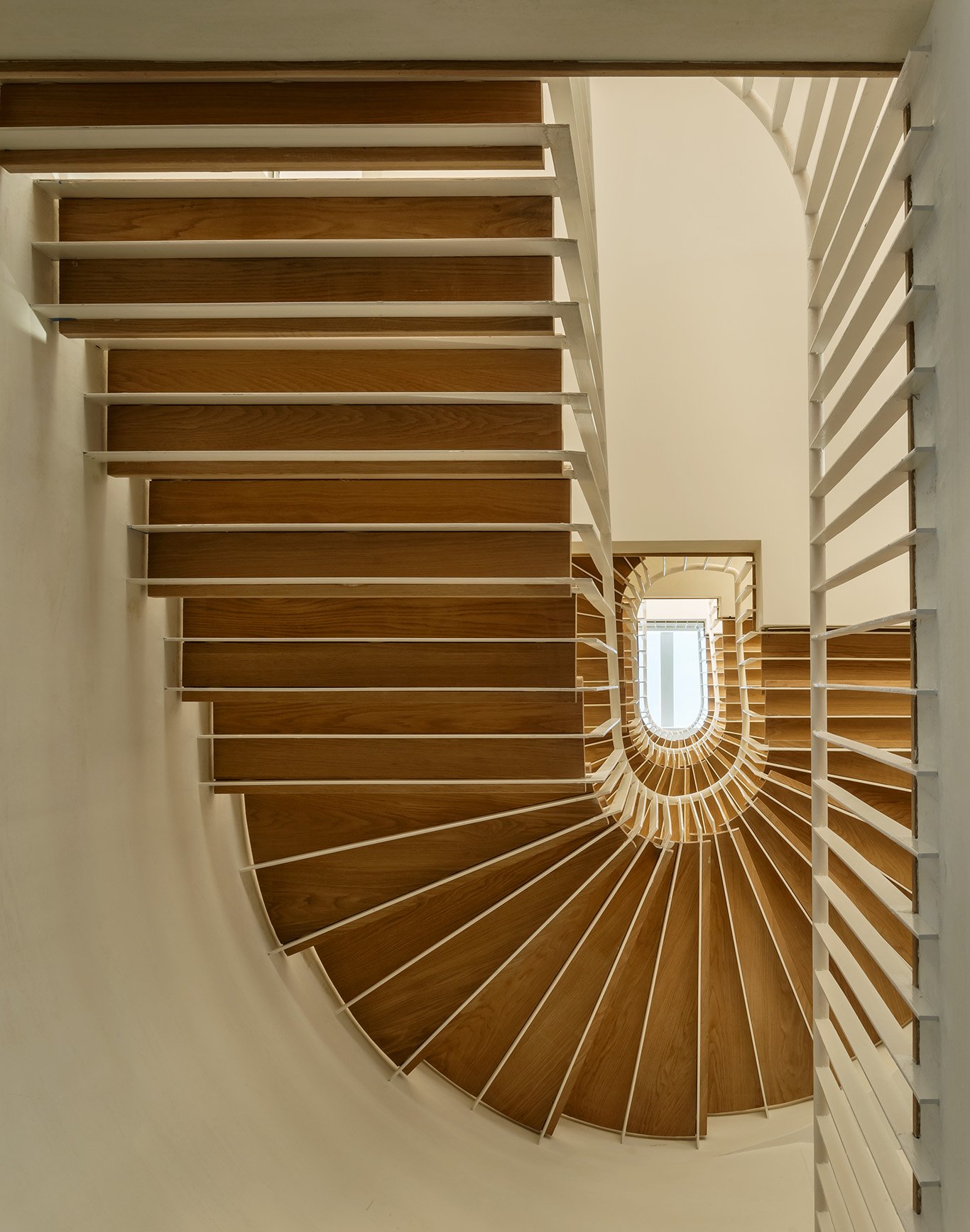 2026-01-15 Bowerbird. North 6th st11984 copy.jpg