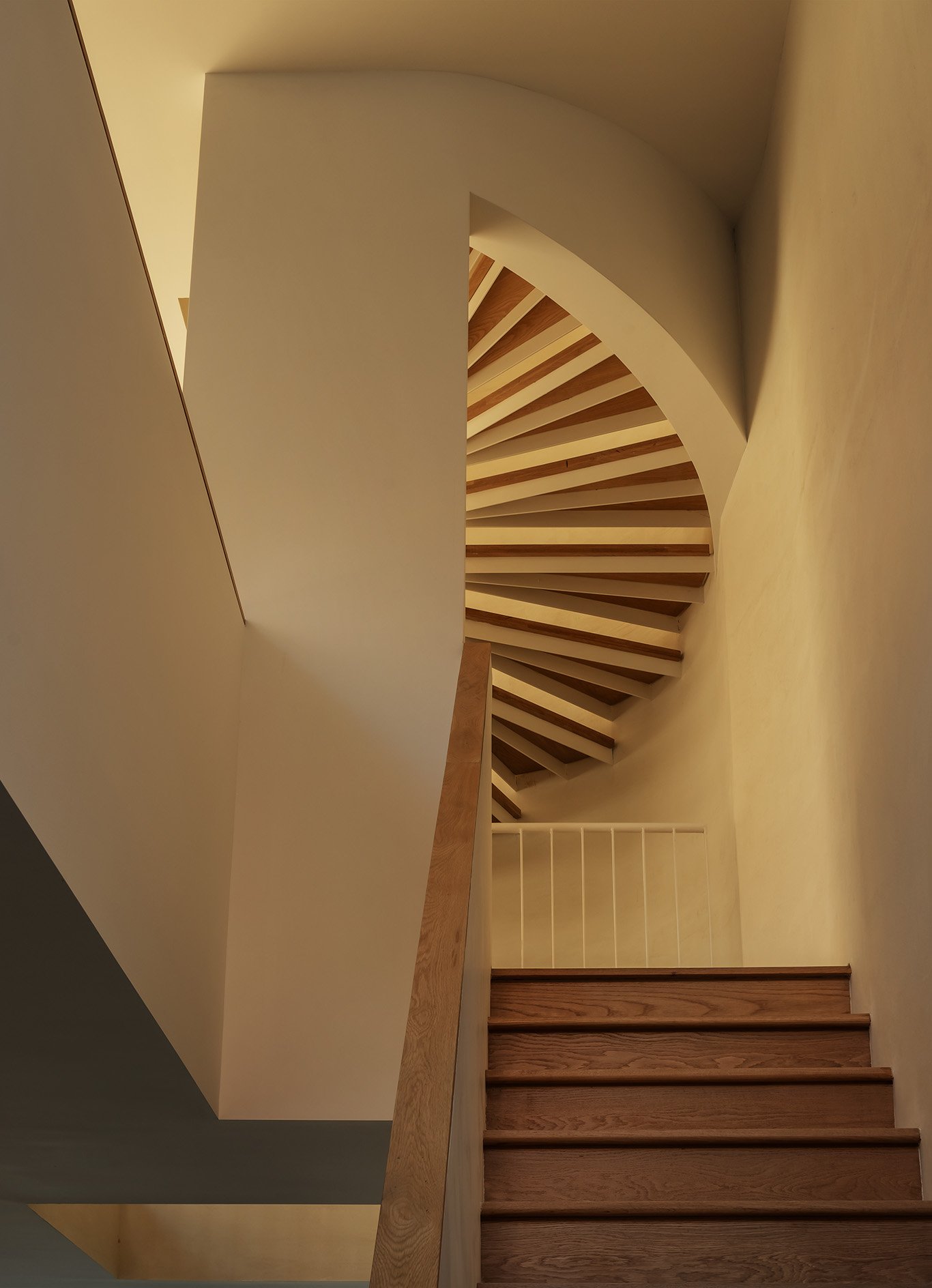 2026-01-15 Bowerbird. North 6th st11993 vert copy.jpg