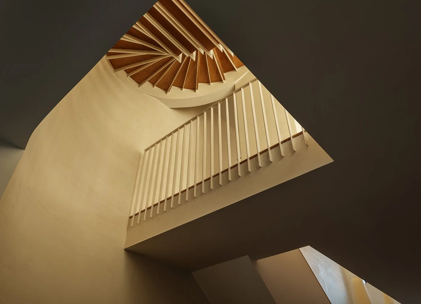 2026-01-15 Bowerbird. North 6th st12014 copy.jpg