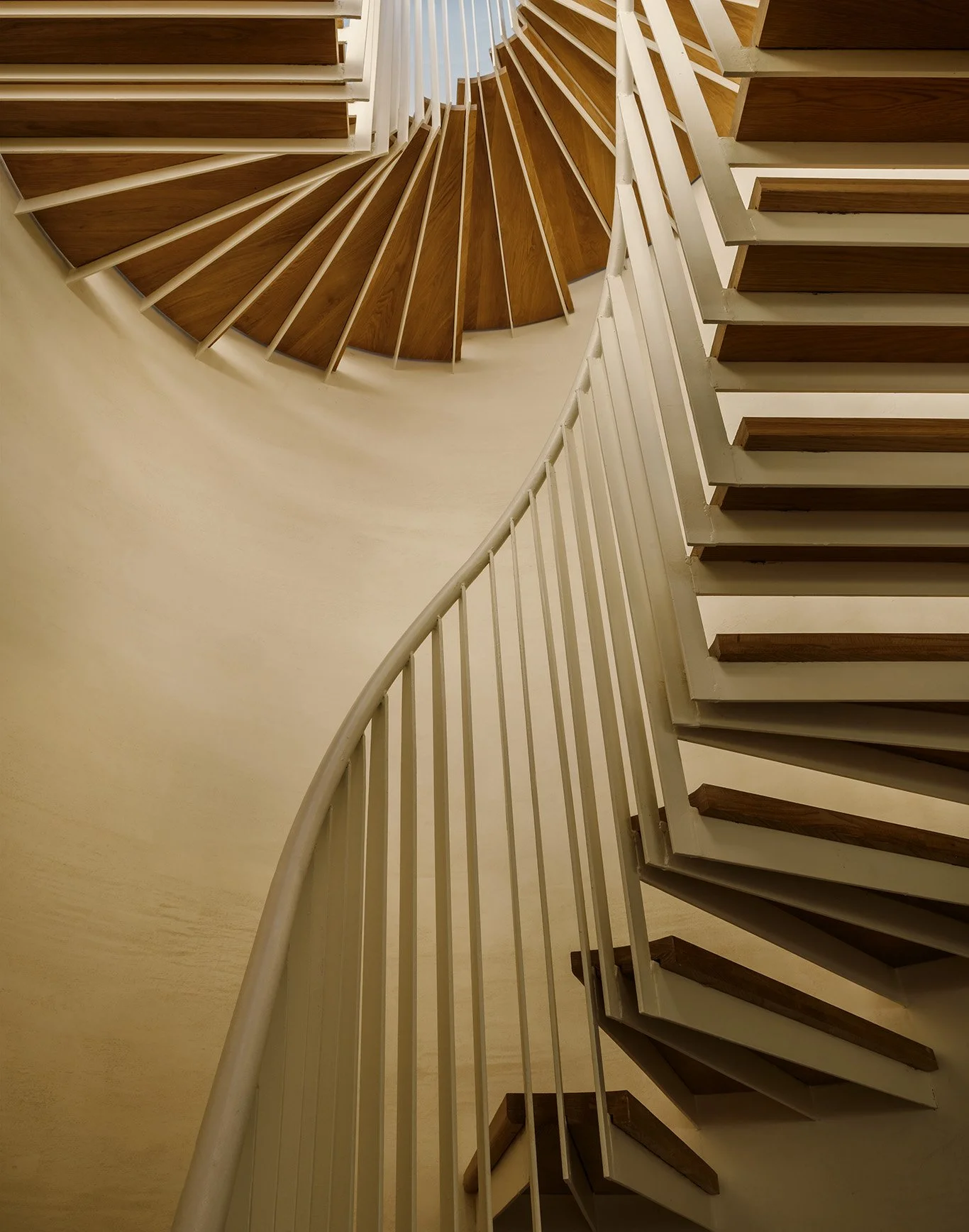 2026-01-15 Bowerbird. North 6th st12053 copy.jpg