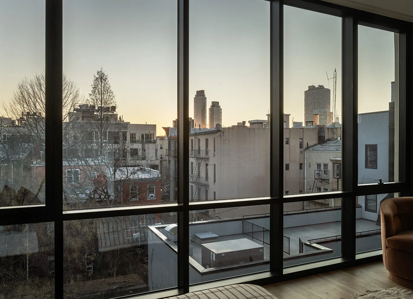 2026-01-15 Bowerbird. North 6th st12074 copy.jpg