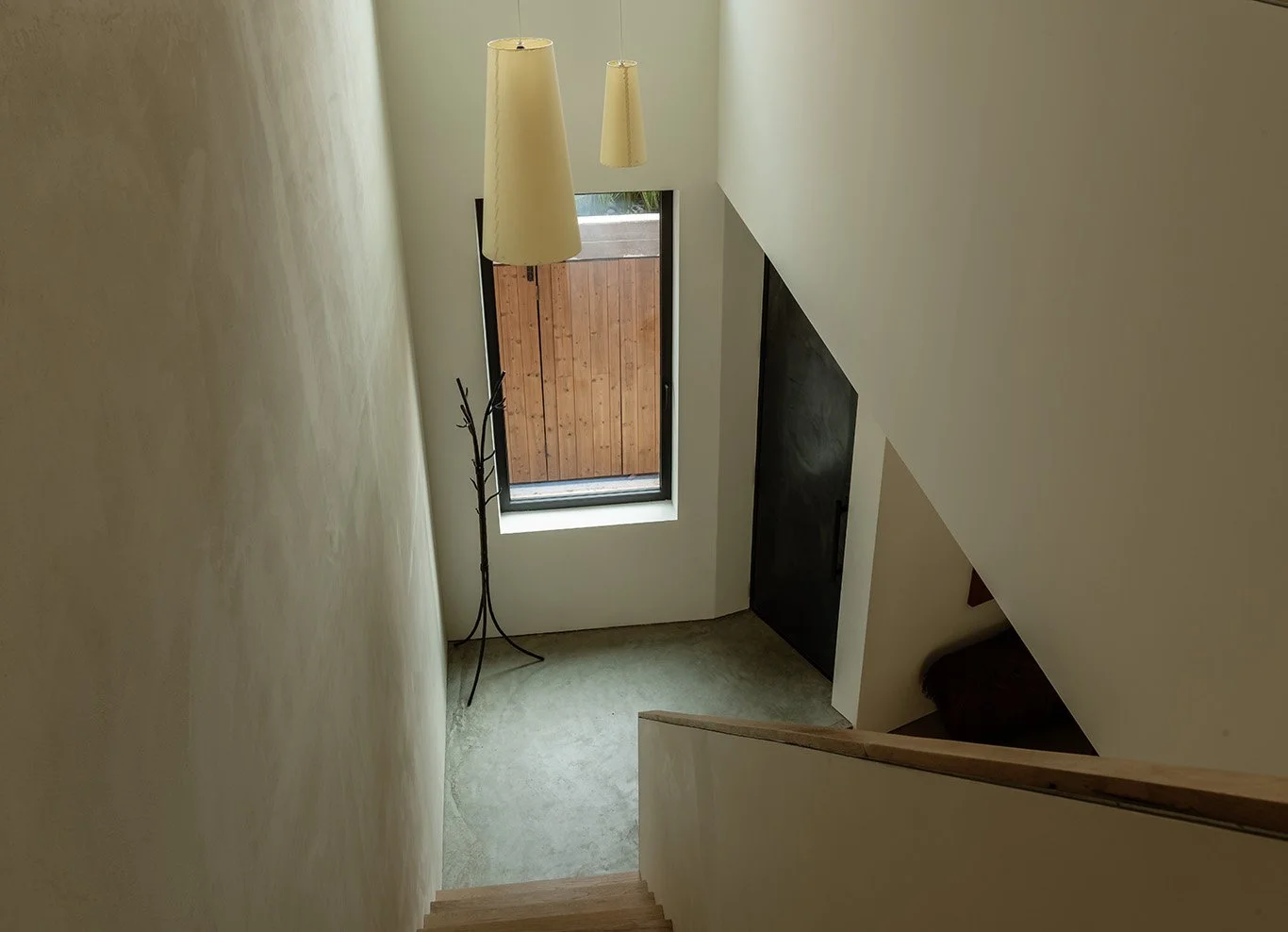 2026-01-15 Bowerbird. North 6th st12197 copy.jpg