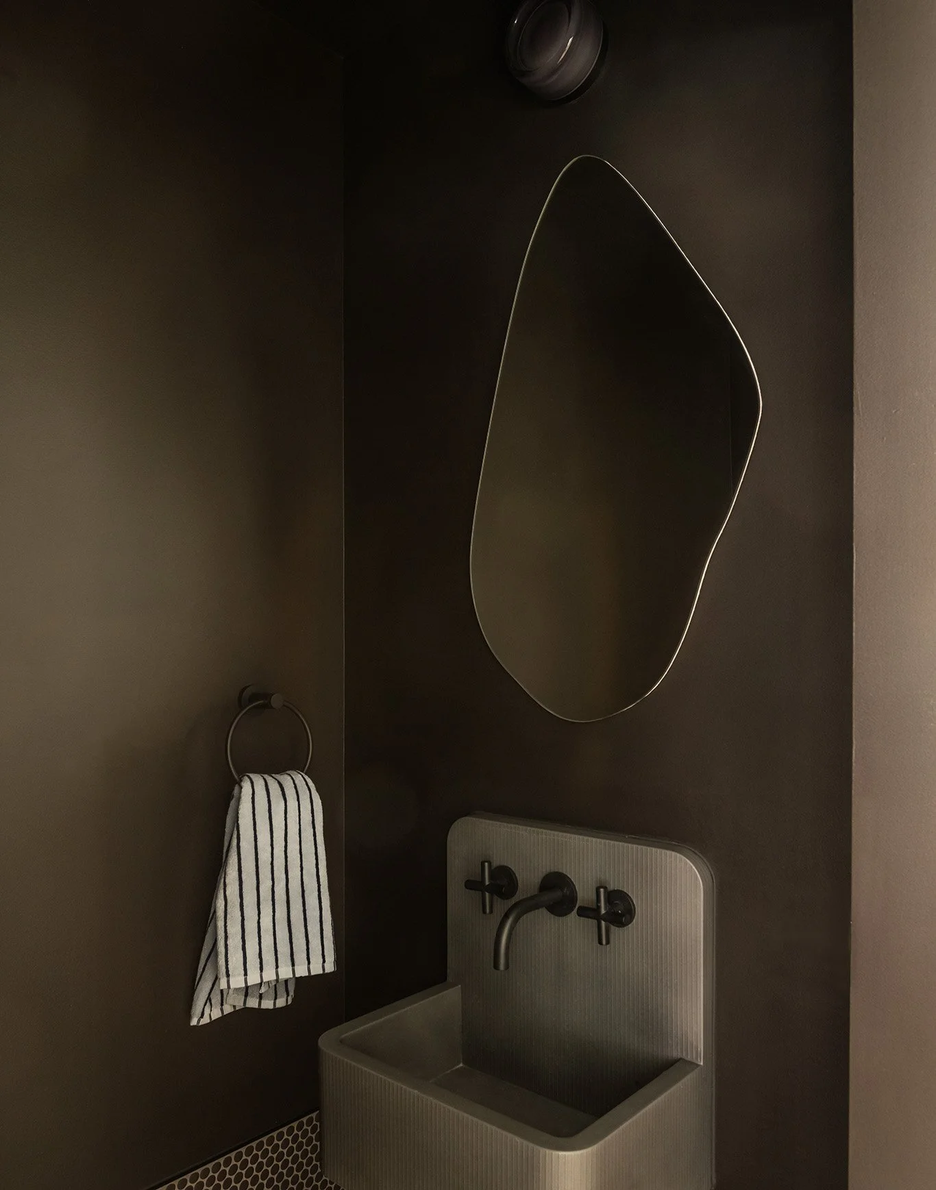 2026-01-15 Bowerbird. North 6th st12229 copy.jpg