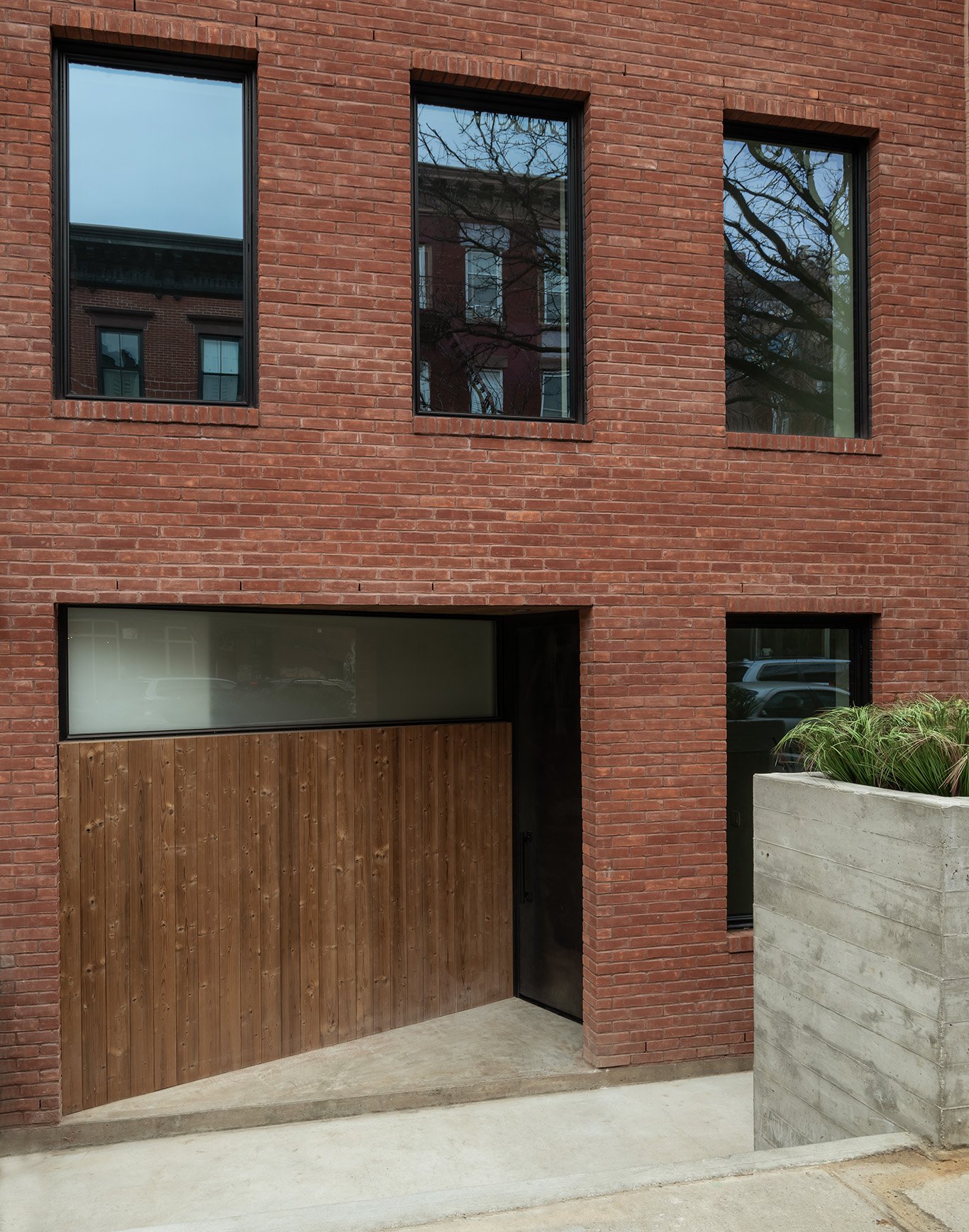 2026-01-15 Bowerbird. North 6th st12253 copy.jpg