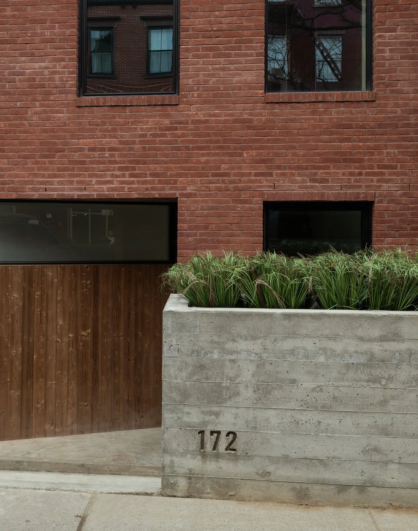 2026-01-15 Bowerbird. North 6th st12259 copy.jpg