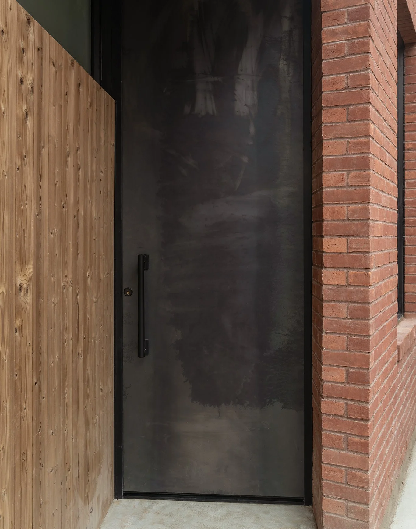 2026-01-15 Bowerbird. North 6th st12265 copy.jpg