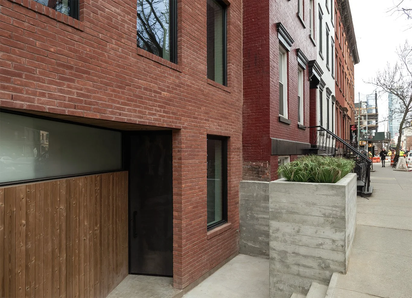 2026-01-15 Bowerbird. North 6th st12271 - B copy.jpg