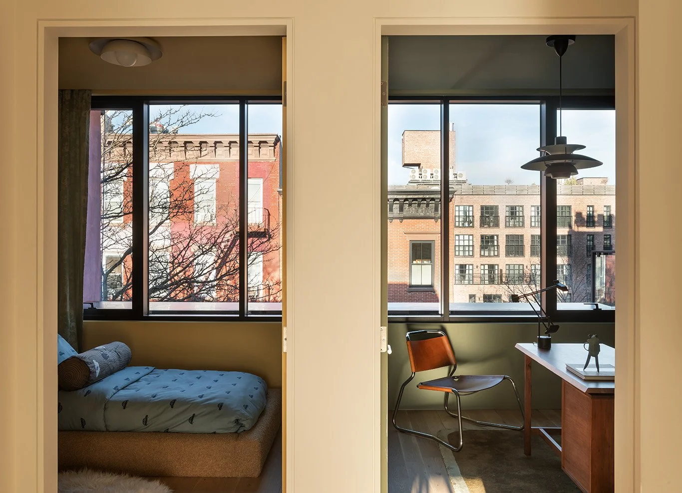 2026-01-15 Bowerbird. North 6th st12400 copy.jpg