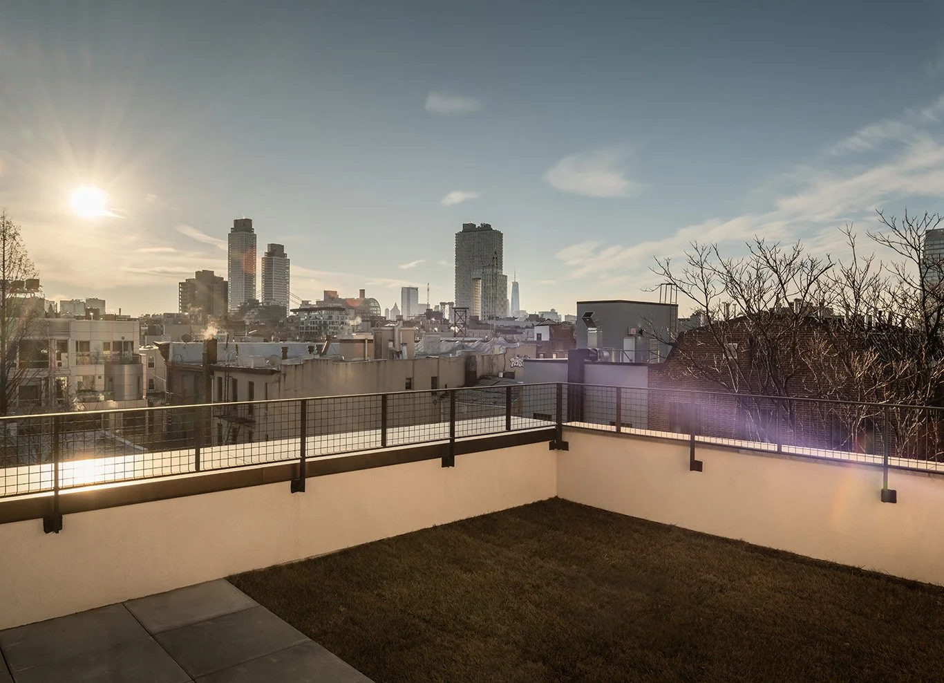 2026-01-15 Bowerbird. North 6th st12434 copy.jpg