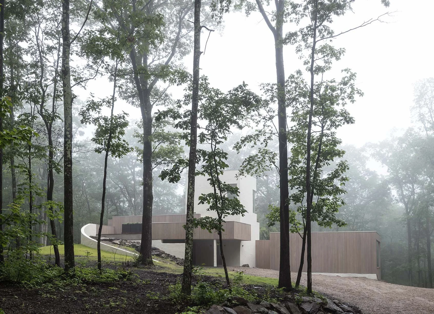 000 - 2025-06-16 Bowrbird. Old Paddock Lane12233.jpg