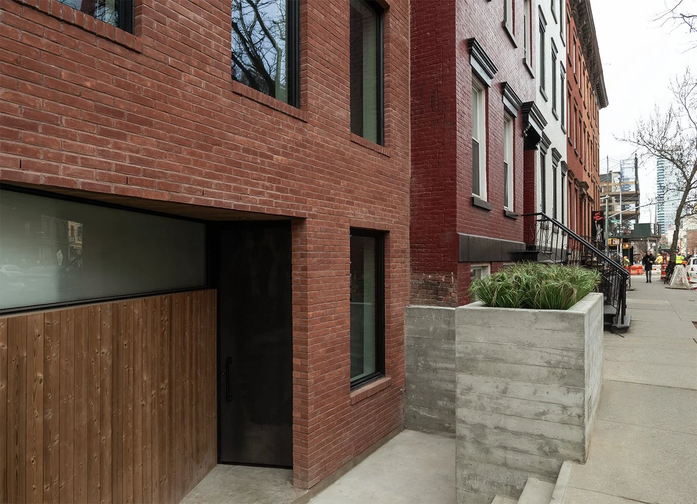 2026-01-15 Bowerbird. North 6th st12271 copy.jpg