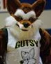 Gutsy the Flying Fox