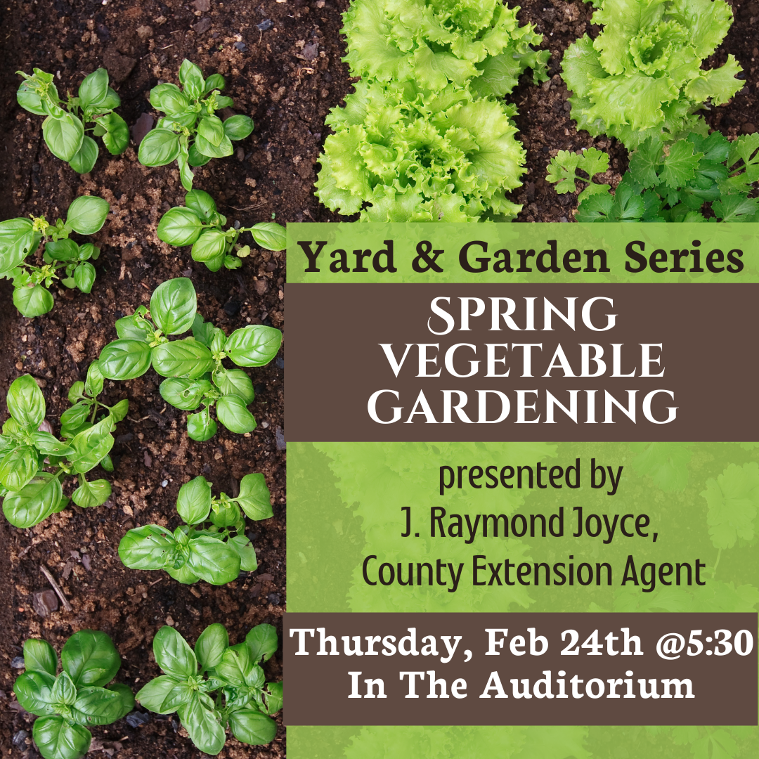 Yard &amp; Garden Series: Spring Vegetable Gardening