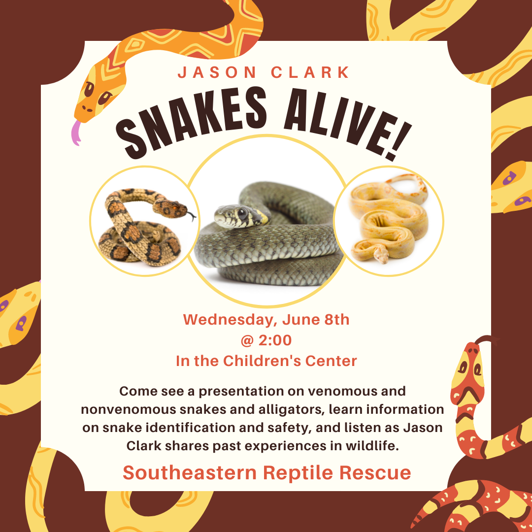 Snakes Alive! 