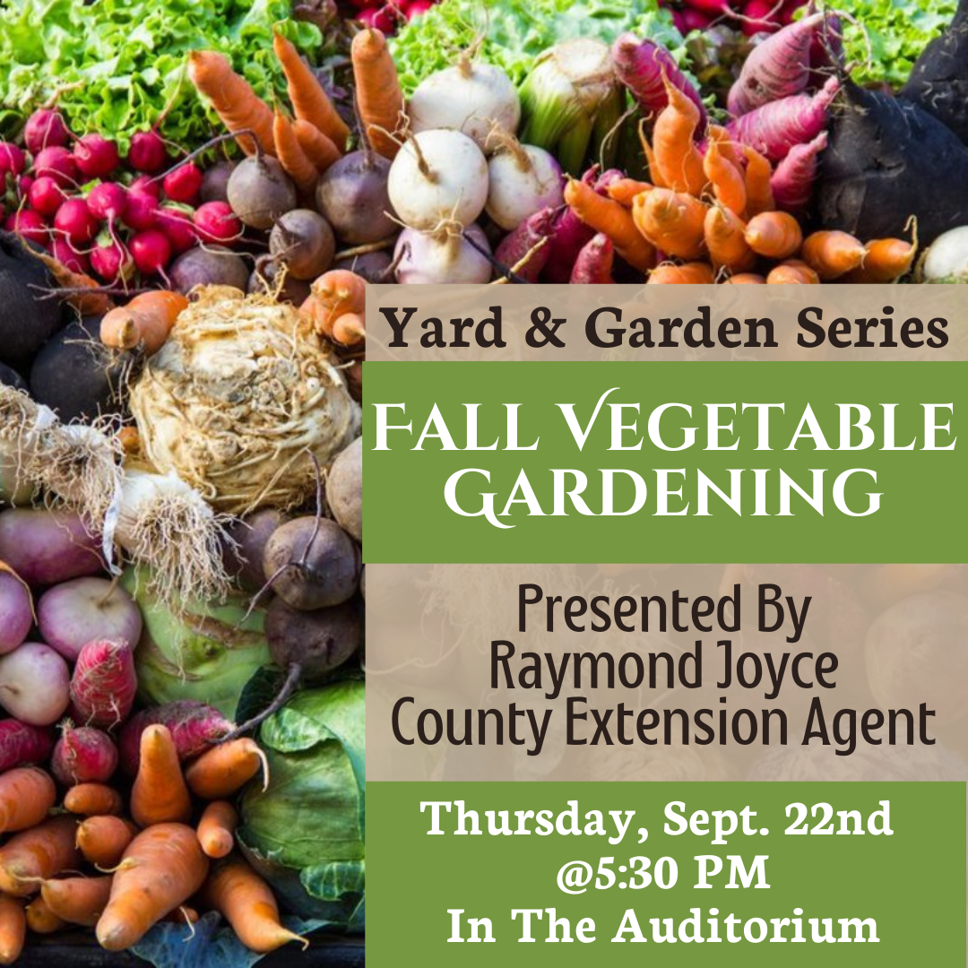 Yard &amp; Garden Series: Fall Vegetable Gardening