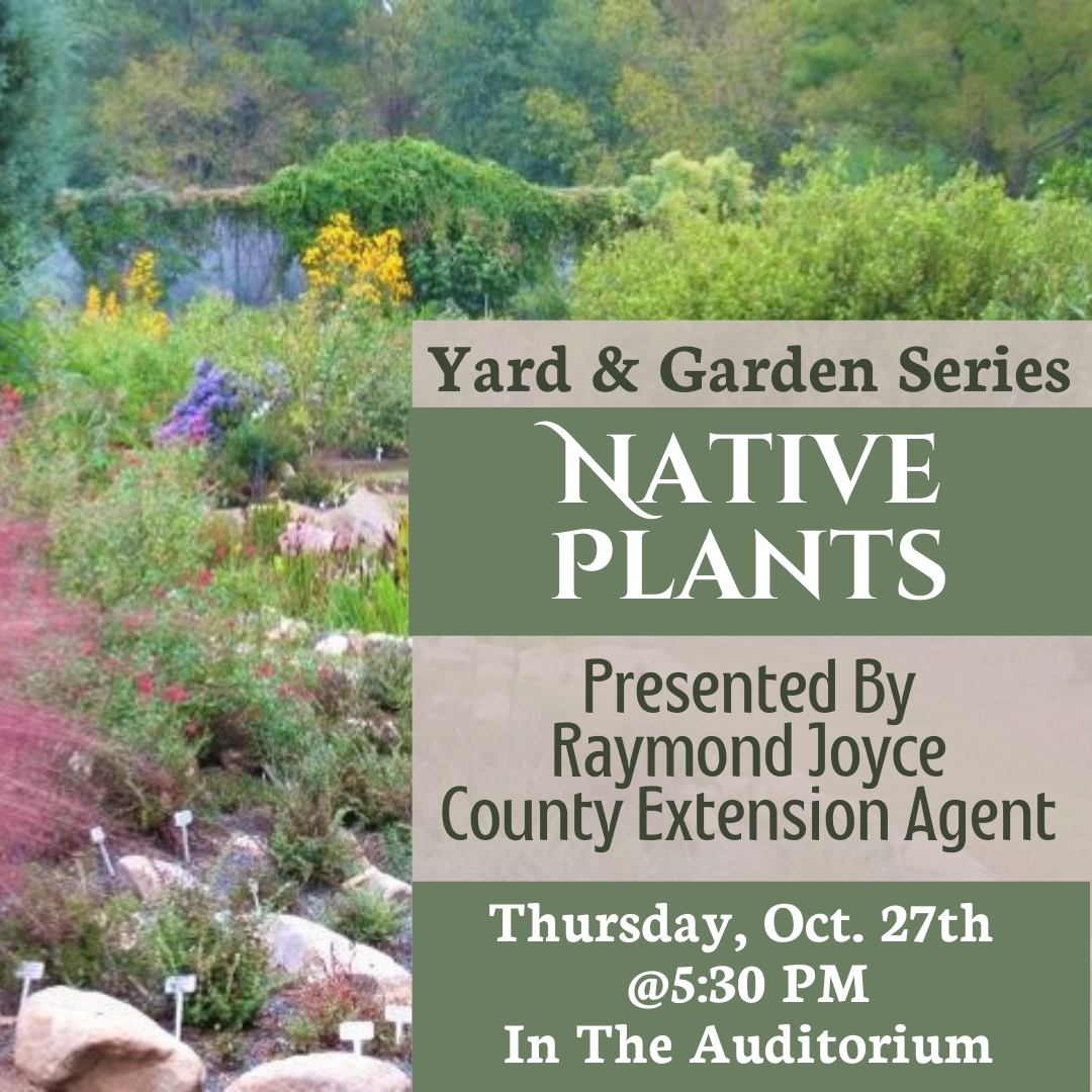 Yard &amp; Garden Series: Native Plants