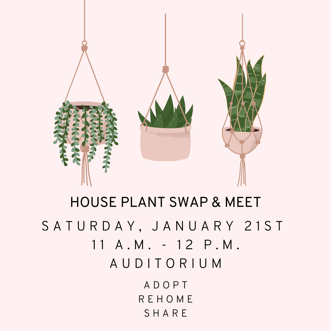 House Plant Swap &amp; Meet
