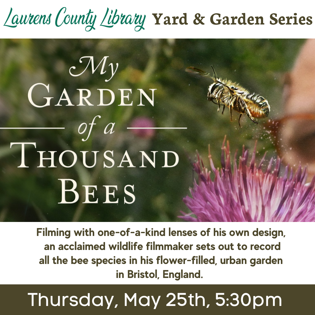 Yard and Garden Series: My Garden of a Thousand Bees
