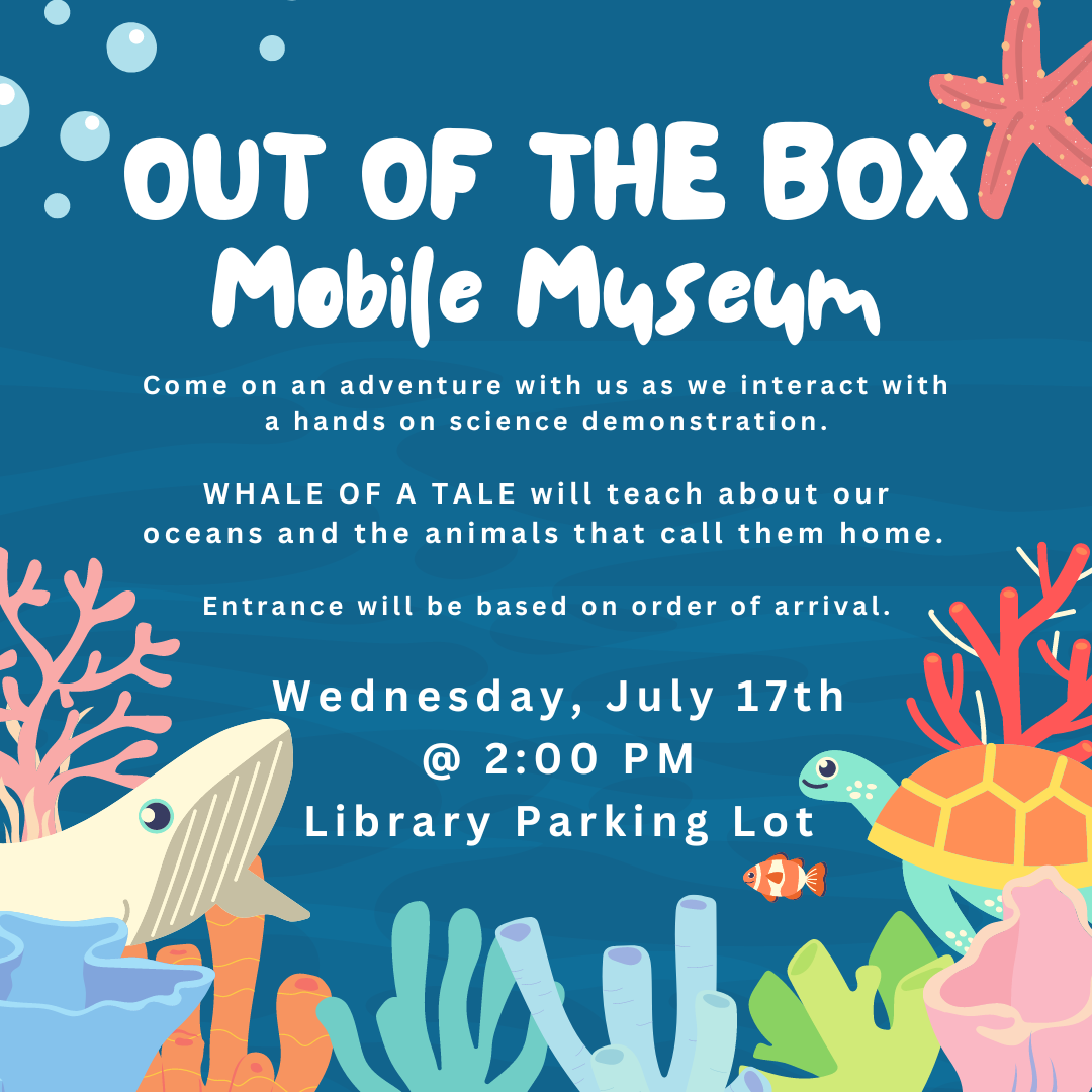 Out of the Box Education: Whale of a Time