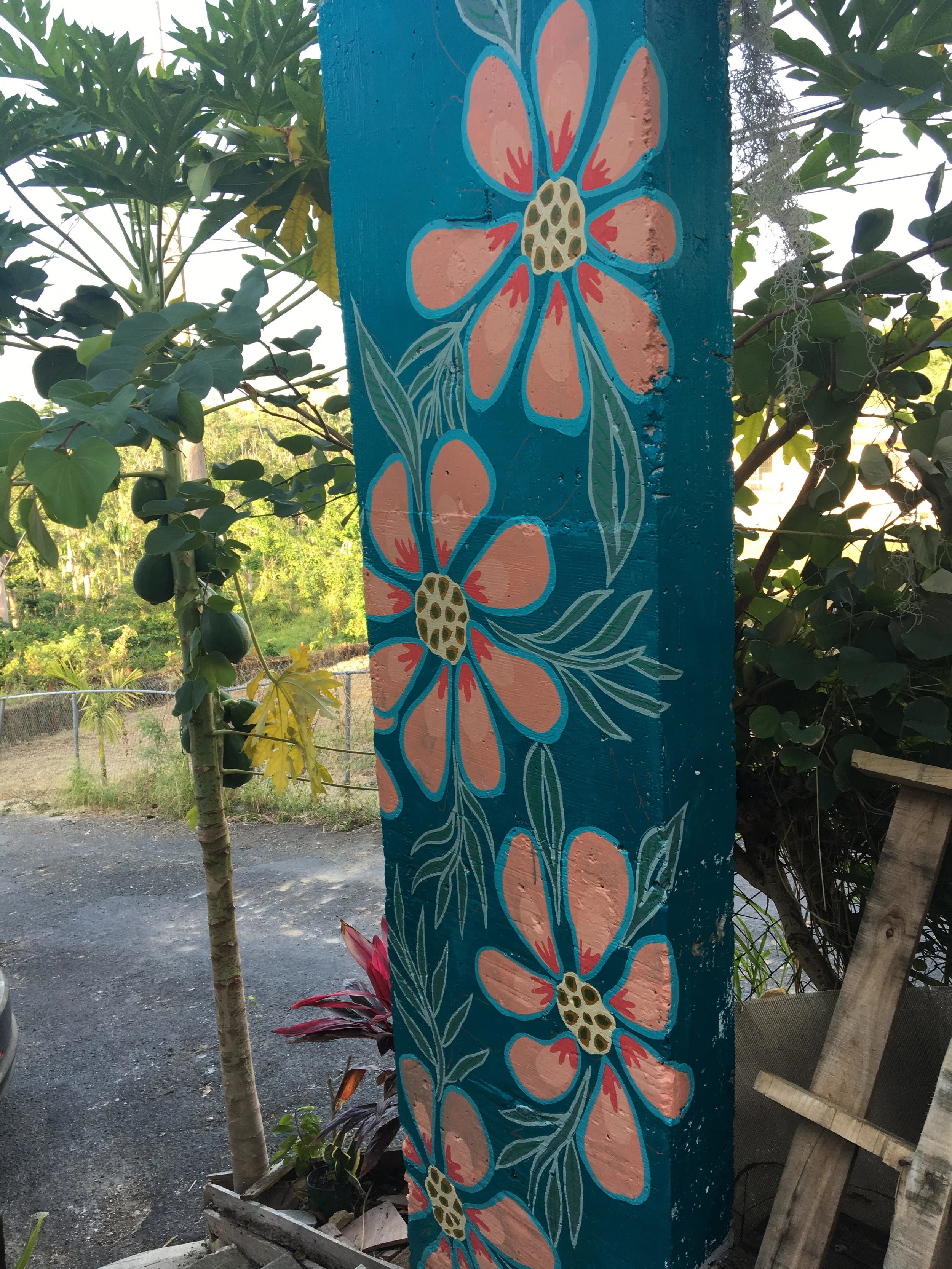 Rincon - Puerto Rico