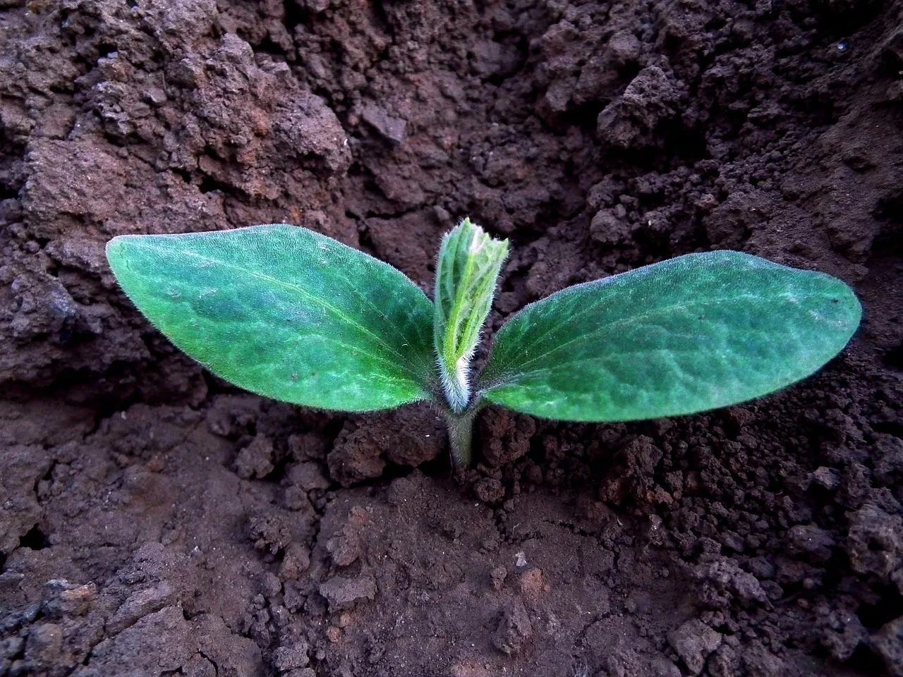 Dare to nurture new growth. You can DO THIS.