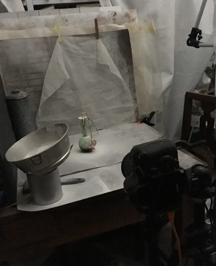The setup for the Miss Haversham's Tulip photo you can see below. My phone 'saw' much more light than there was in reality, I often shoot in a twilight with low ISO because I love how the light is drawn to the objects I photograph even if I can't see it myself. 