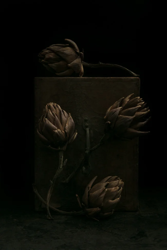 Artichokes. Four.