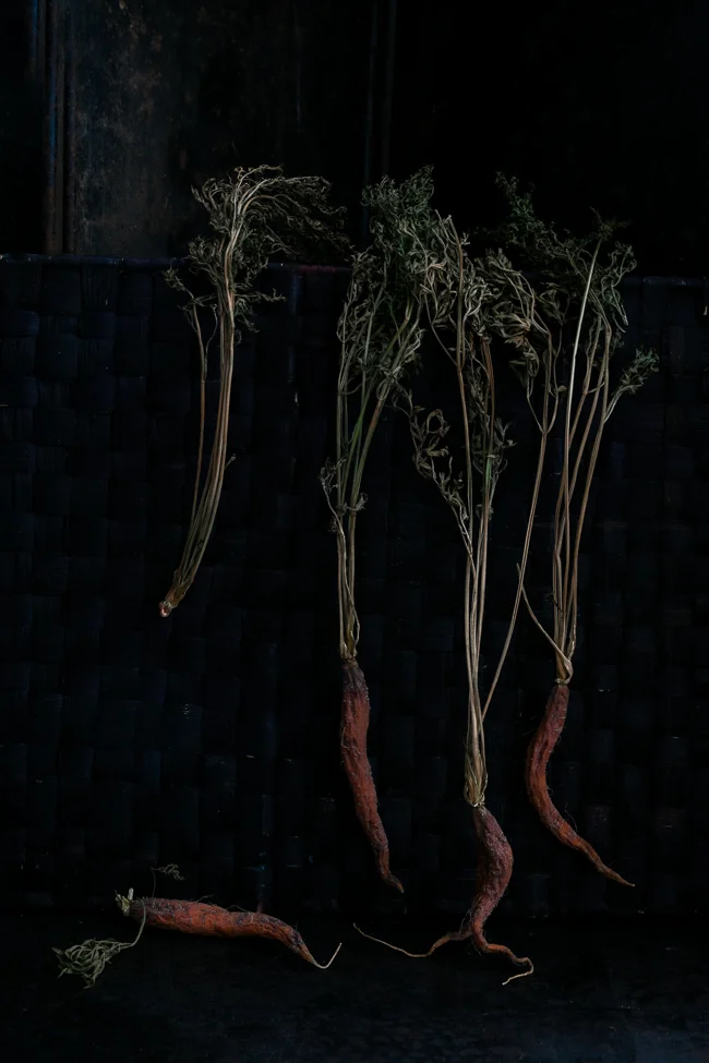 Carrot. Four.
