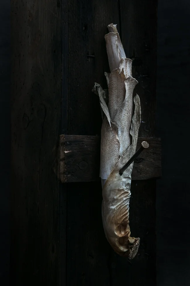 The Forgotten. Leek.jpg
