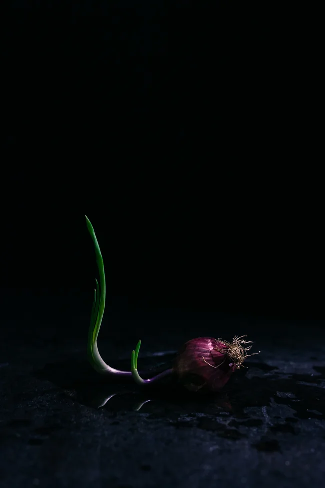 Growth-2.jpg
