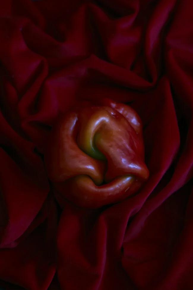 Pepper folds.jpg