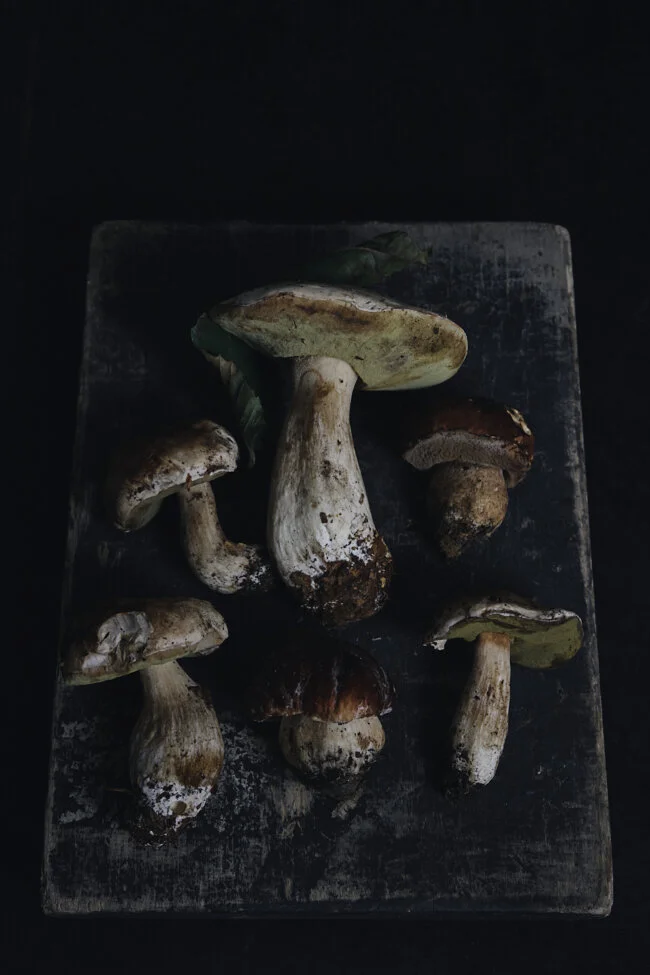 Porcini1.jpg